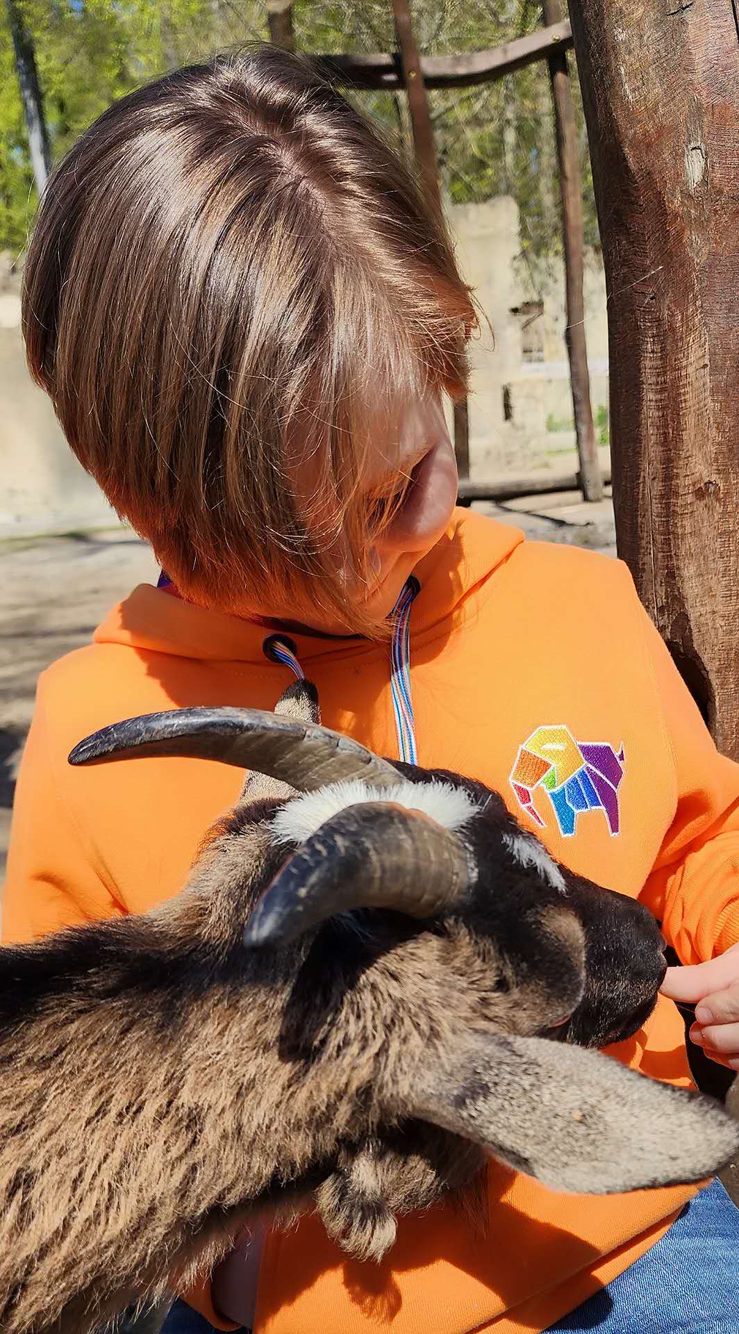 Elephan-Care Hoodie Sunset Orange for Kids & Teens Together we are Stronger UG