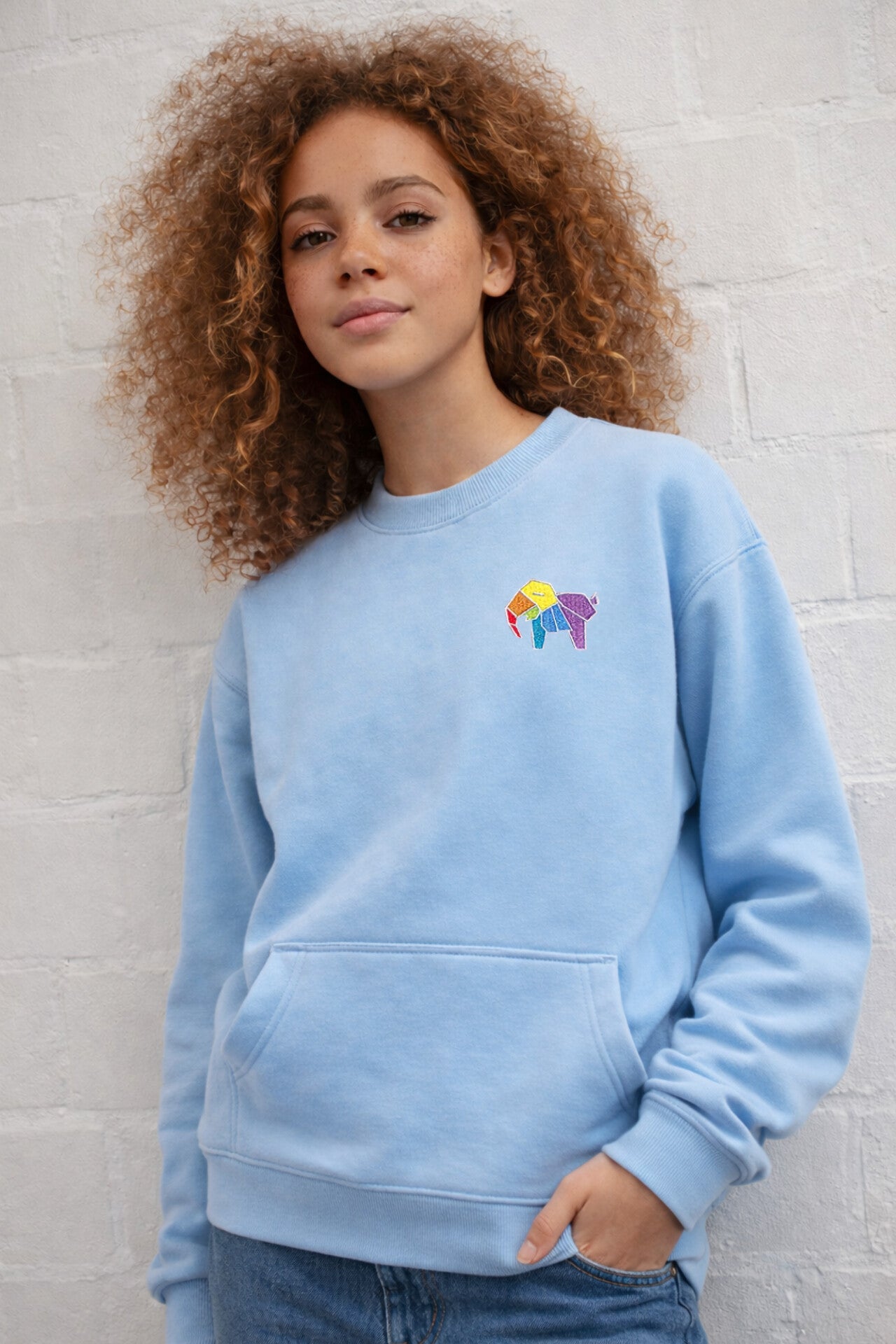 Teens Elephant Sweatshirt